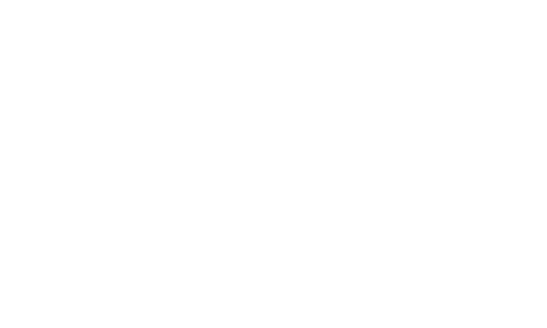 Digital Prime